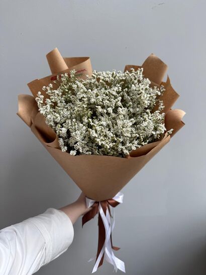 №422 Лимониум сухоцвет